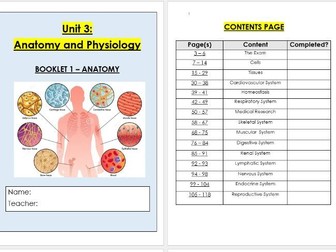 Anatomy and Physiology Worksheet Bundle