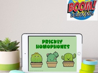 Homophones Boom Cards