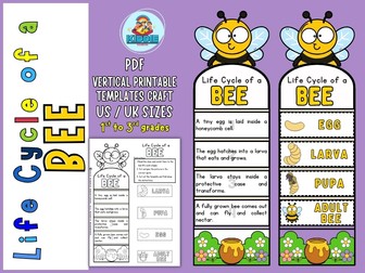 Bee Life Cycle Foldable Craft | Grades 1–3 Science Activity