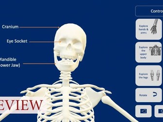 KS3 Skeleton