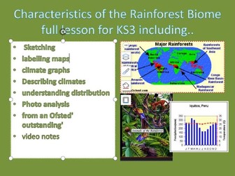 characteristics of the rainforest biome