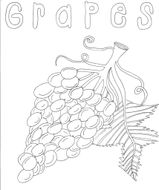 KS1 Food (Changes within Living Memory) Bundle