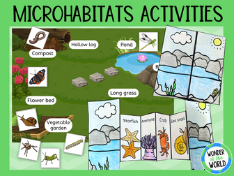 Microhabitats science activities KS1 - minibeast sorting and foldable craft