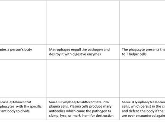 Activation of B lymphocytes