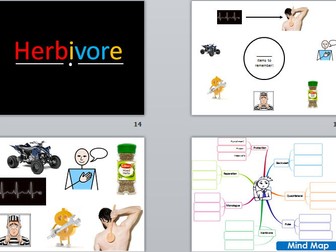 Generic Revision Lesson