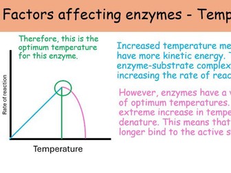 WJEC A level Biology AS Unit 1 Topic 1.4: Enzymes powerpoints for whole topic