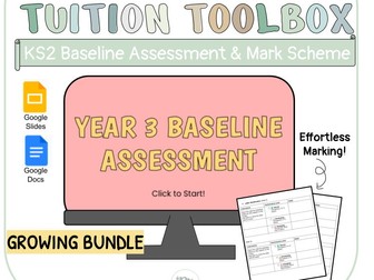 Year 3 Baseline Assessment