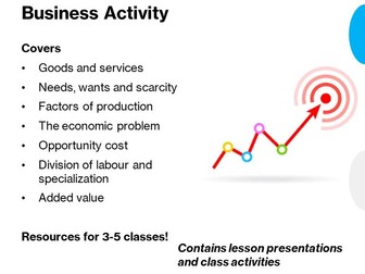 Business Studies - Business Activity