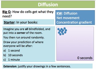 KS3 Cells & Organisation 12-13 Diffusion