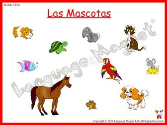Spanish Pets