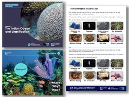 classification ks2 science teaching resources