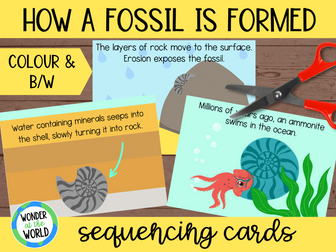 How a fossil is formed sequencing activity KS2