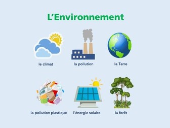 French Environment Vocabulary Poster