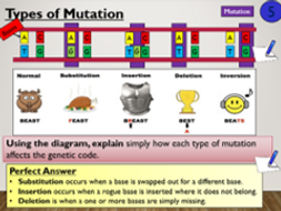 KS4 B13.2.2 Mutations | Teaching Resources