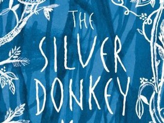 The Silver Donkey KS2 Novel Study, Writing tasks and Resources