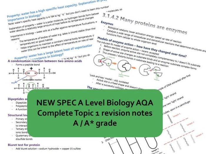 NEW SPEC AS BIOLOGY AQA FULL REVISION NOTES A/A* (a Level Year 1) By ...