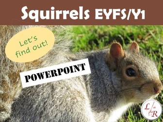 Squirrel PowerPoint EYFS/Y1 Autumn Winter Science Animals