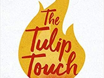 "The Tulip Touch" Essay Plan