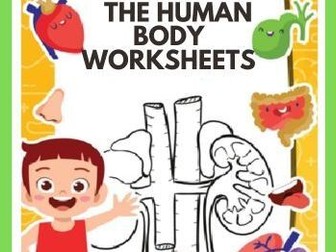 The Human Body Printable Worksheets