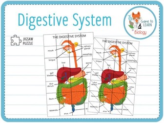 human organs 7x jigsaw puzzles ks34 teaching resources