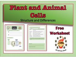 KS4 Plant and Animal Cells Structure and Differences Worksheet ...