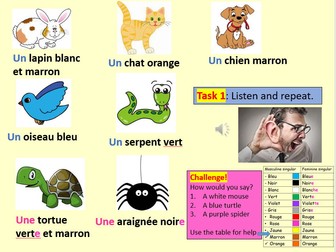 French primary lessons (Y3/ Y4). 17 lessons, including SoW