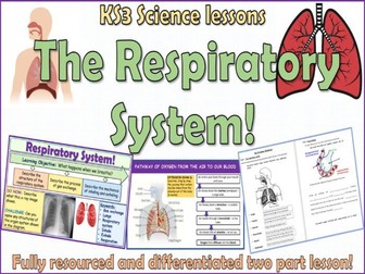 Respiratory System KS3 Science