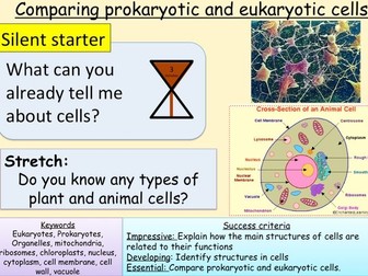 AQA new specification-Animal and plant cells-B1.2 and Eukaryotic and prokaryotic cells-B1.3
