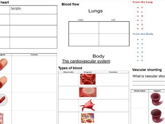 Edexcel GCSE PE Paper 1- Cardiovascular system revision mind map