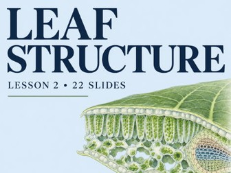 AQA A-Level Biology: Leaf Structure – PowerPoint with Answers
