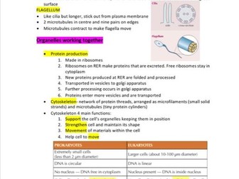 OCR Alevel Biology Module 2 Notes