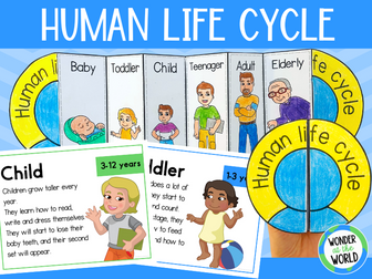 Human life cycle foldable sequencing activity and posters
