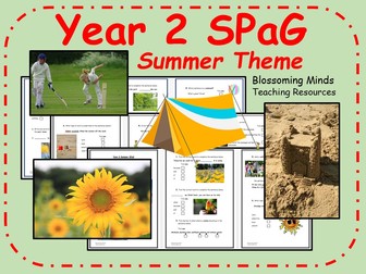 Year 2 SPaG activity booklets - Summer theme