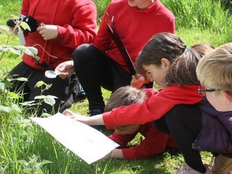 Biodiversity unit-Paradise Pastures: A Story-Inspired, Science Enquiry in your School Grounds