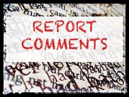 Form Teacher and Head of Year Report Comments 2019.