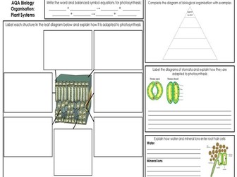 AQA Biology: Plant Systems Revision Mat