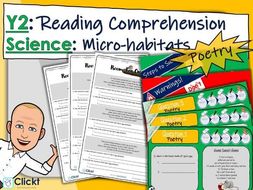 Poetry homework ideas picture