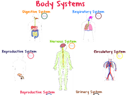 Body Systems Prezi (NGSS)