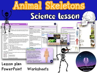 Animal Skeletons - Outstanding KS2 Science Lesson