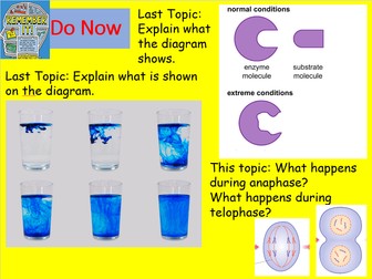 Edexcel CB2 SB2 Growth in Plants Complete Lesson - GCSE Biology/ Combined Science