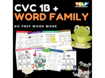 TELP LITERACY PROGRAM - CVC & WORD FAMILY 1B - IT, OG, OP, OT, UG, UM, UN