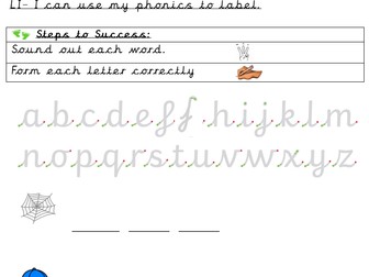 CVC Widget Activity Sheet (EYFS/KS1/SEND) - Week 2