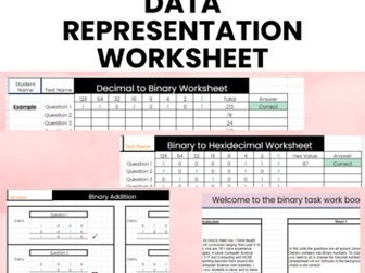 Data Representation Work Sheets (Binary/Hexadecimal/Addition)