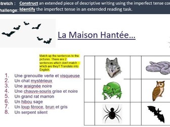 2 x Imperfect Tense Lessons - Childhood and Halloween