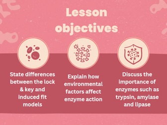 T Level Health - Enzymes