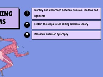 T Level Health - The Muscular System