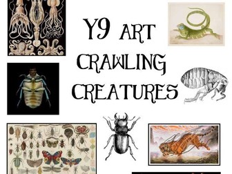 Art Project Booklet on Crawling Creatures