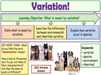 Variation KS3 Activate Science