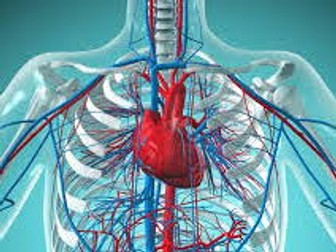 BTEC Sport Level 3 Cardiovascular System Teaching Pack