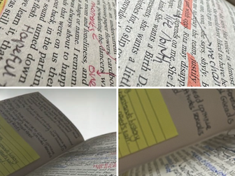 The Handmaid's Tale: Annotations and Study Notes